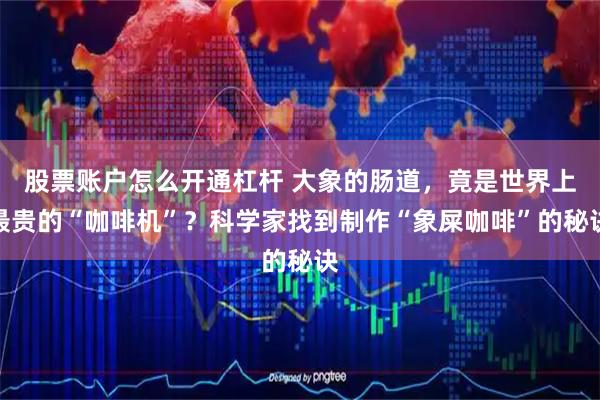 股票账户怎么开通杠杆 大象的肠道，竟是世界上最贵的“咖啡机”？科学家找到制作“象屎咖啡”的秘诀