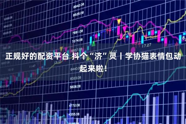 正规好的配资平台 抖个“济”灵丨学协猫表情包动起来啦！